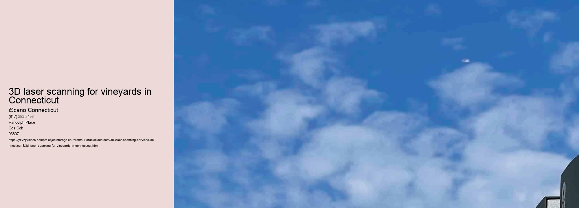 3D laser scanning for vineyards in Connecticut