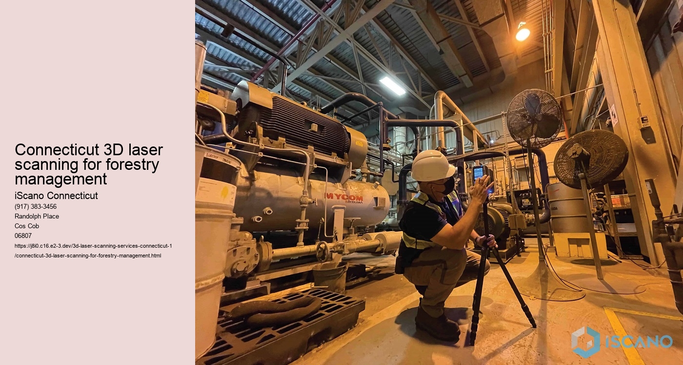 Connecticut 3D laser scanning for forestry management